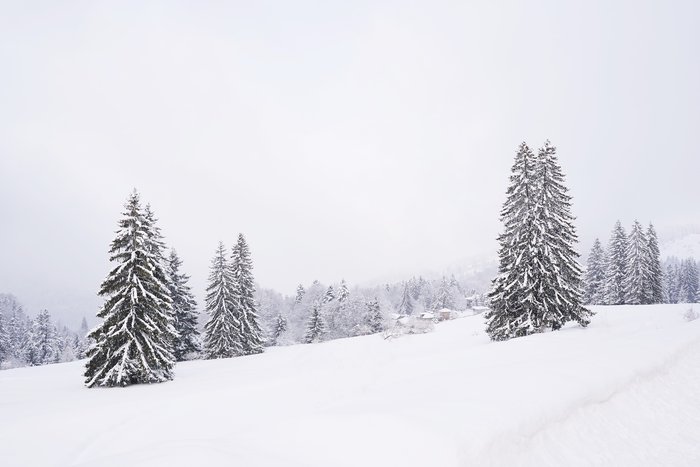 Copertă album Peisaje de Iarnă